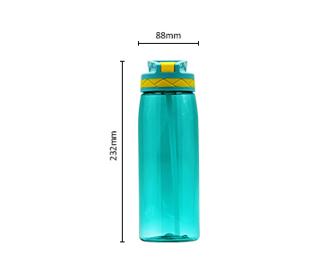 Leak-proof 750 ml travel outdoor sports plastic drinking water bottle with straw