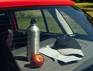 Interpretation of what a car water cup should look like from multiple perspectives? ---- Truck driver