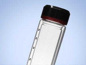 In-Depth Analysis of Glass Cup Manufacturing — Thermal Insulation Edition