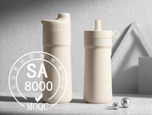 What Qualifications Are Essential for a Vacuum Flask Factory to Do Global Foreign Trade? Part 7