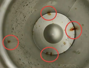 When Should You Return a New Insulated Cup Immediately? Part 2